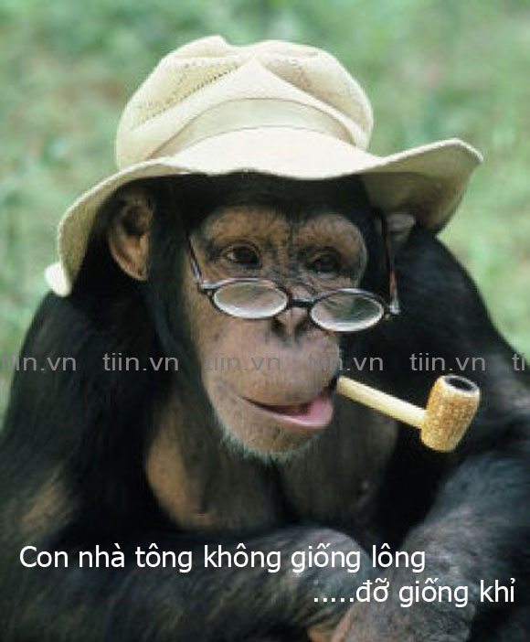 Ca rao, tục ngữ chế - Hình 2