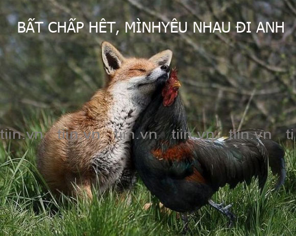 Ca rao, tục ngữ chế - Hình 5