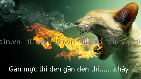 Ca rao, tục ngữ chế - Hình 3