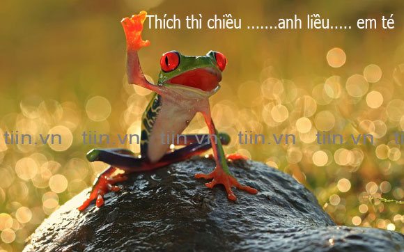Ca rao, tục ngữ chế - Hình 1