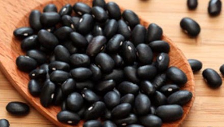 Đông y trị chứng bệnh viêm loét miệng - Hình 1