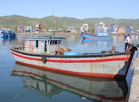 Cậu ơi, bọn chúng chĩa súng về tàu cháu... - Hình 1