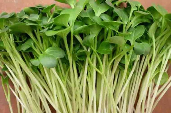 Mẹo ăn uống giúp ngăn ngừa ung thư - Hình 2