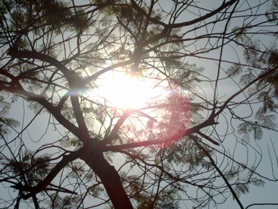 Miền Trung nắng nóng, miền Bắc hạ nhiệt - Hình 1