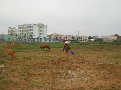 Ba cán bộ Trung tâm Phát triển quỹ đất bị đề nghị truy tố - Hình 1