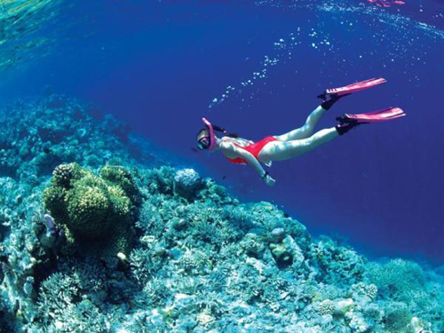 Các điểm du lịch hấp dẫn cho tour trăng mật - Hình 3