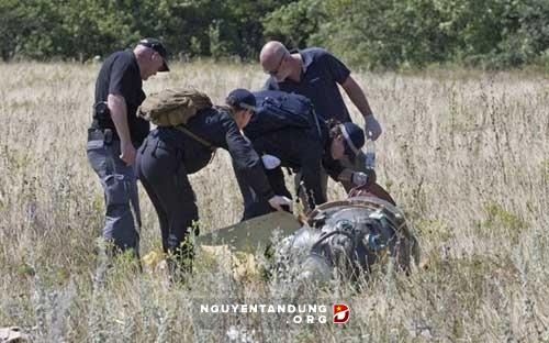 MH17 bị trúng tên lửa không đối không - Hình 1