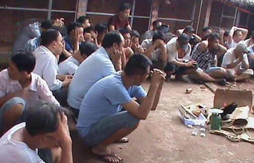 Gần 50 người trong trường gà bị trinh sát vây bắt - Hình 1