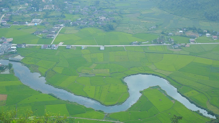 Cánh đồng lúa Bắc Sơn đẹp lộng lẫy nhìn từ trên cao - Hình 5