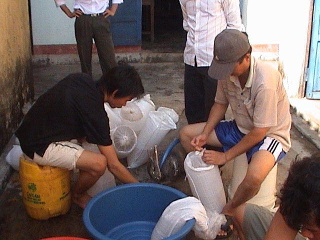 Hé lộ chiêu trò ép giá của các đầu nậu thu mua tôm tại Quảng Bình - Hình 3