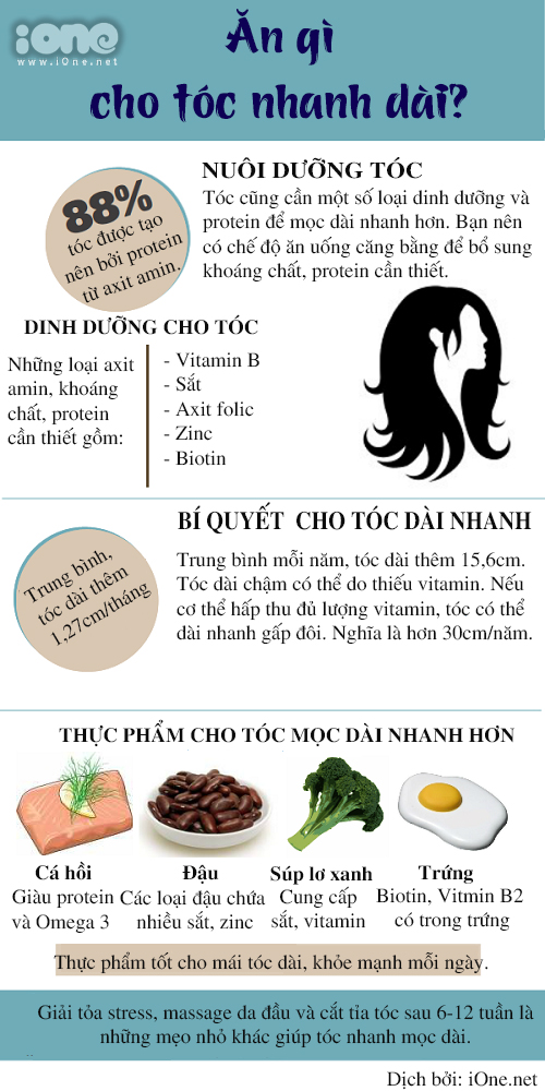 14 loại thực phẩm giúp tóc mọc nhanh dài và dày bạn nên bổ sung ngay