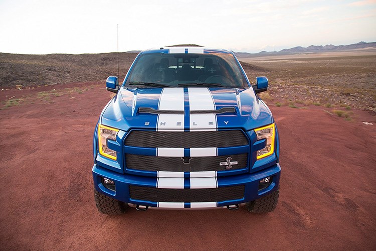 Shelby trình làng quái vật bán tải F-150 Blue Thunder 2016 - Hình 3