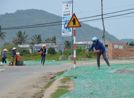 Tháng Giêng, ngư dân bội thu cá cơm - Hình 6