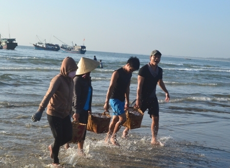 Tháng Giêng, ngư dân bội thu cá cơm - Hình 1