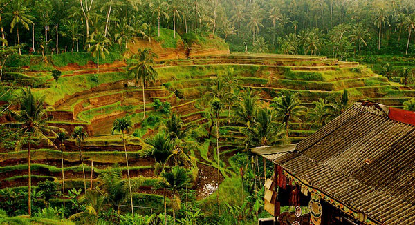 Những điểm đến trong mơ ở đảo Bali - Hình 8