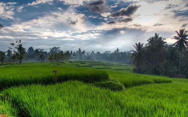 Những điểm đến trong mơ ở đảo Bali - Hình 1