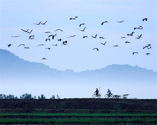 Thưởng thức ảnh đẹp quê hương Việt Nam để khám phá các địa danh nổi tiếng, các vùng đất hùng vĩ và những nét đẹp truyền thống của quê hương mình. Đó là cách để tôn vinh và yêu thương nơi mình sinh ra và lớn lên.