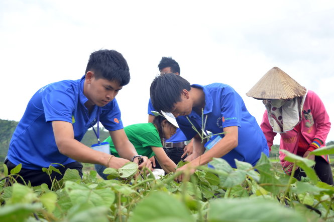 Đổi công cho học sinh đến lớp - Hình 1