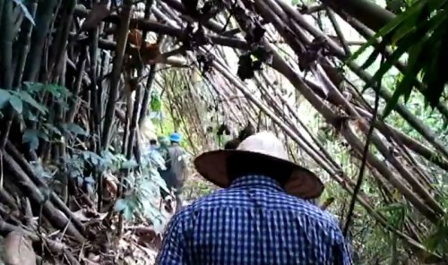 Bí ẩn bao trùm vụ giết 4 người một nhà rúng động - Hình 3