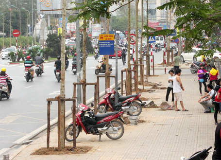 Hà Nội nghiên cứu phần mềm quản lý cây xanh - Hình 1