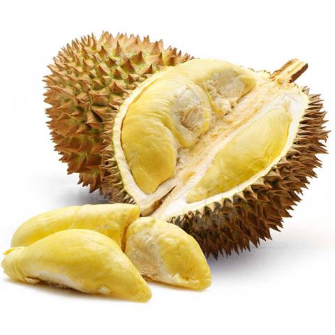 Những lợi ích sức khỏe tuyệt vời từ trái sầu riêng - Hình 2
