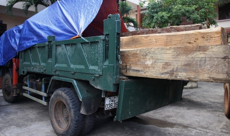 Xử lý kỷ luật Hạt trưởng Hạt kiểm lâm mua gỗ trái phép - Hình 1
