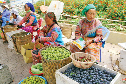 Về Bắc Hà thăm dinh thự vua Mèo - Hình 3
