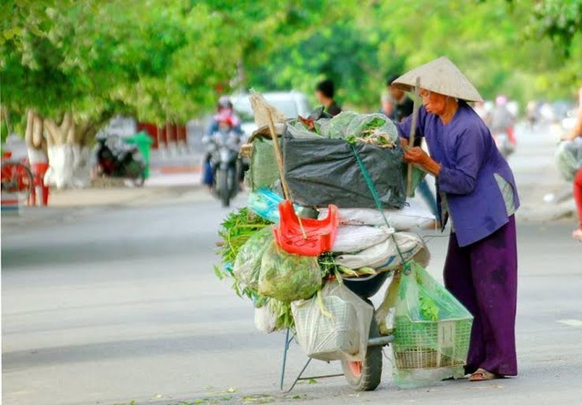 Xa những tảo tần - Hình 1