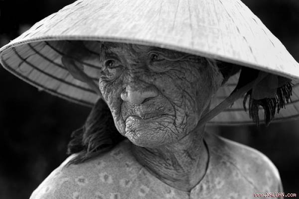 Tập huấn cho bố mẹ già trước khi lên thành phố  Góc tâm tình  Việt Giải  Trí