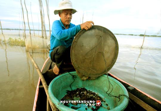 Lũ đã về, dân miền Tây như... sống lại! - Hình 4