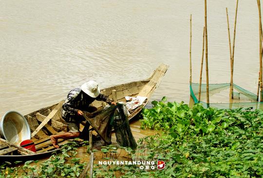 Lũ đã về, dân miền Tây như... sống lại! - Hình 7