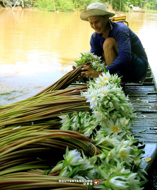 Lũ đã về, dân miền Tây như... sống lại! - Hình 8