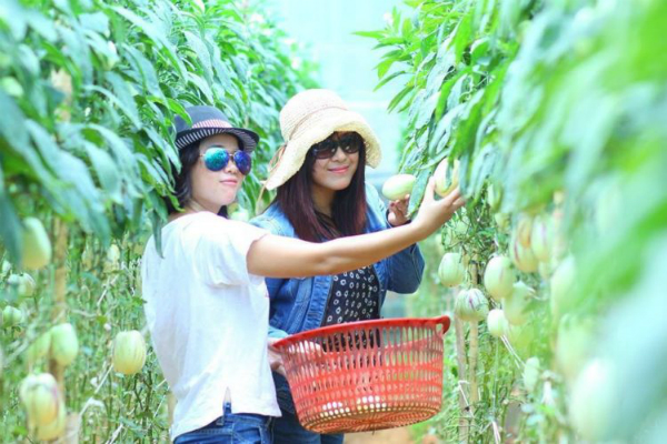 Những điểm đến mới toanh đốn tim phượt thủ ở Đà Lạt - Hình 2