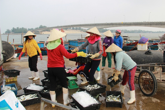 Quảng Trị tạm cấp hơn 114 tỷ đồng bồi thường vụ Formosa - Hình 1