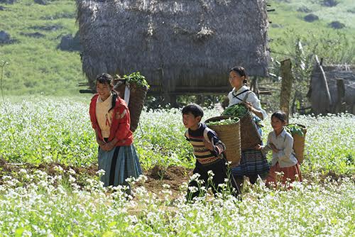 Không khí lạnh tăng cường, miền Bắc có nơi dưới 12 độ C - Hình 1