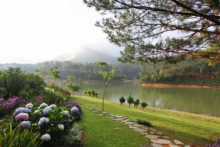 Những điểm chụp hình đẹp như mơ ở Lâm Đồng - Hình 7