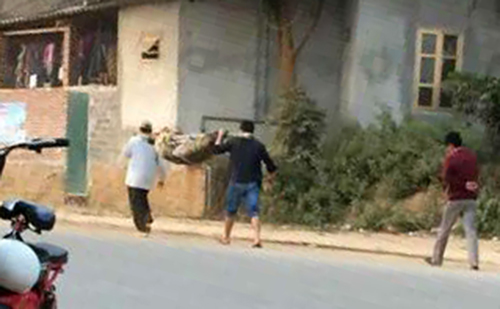 Thi thê quân chiêu đươc khiêng bô tư bênh viên vê nha - Hình 1