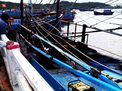 Ba tàu cá bị cháy giữa đêm - Hình 1