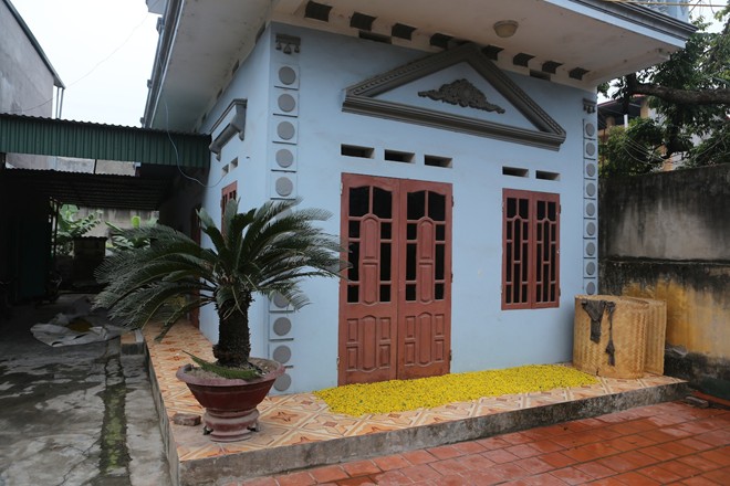 Cánh đồng hoa cúc chi vàng rực trước Tết - Hình 9