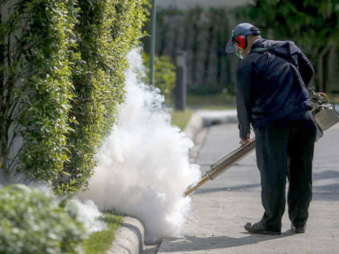 Thái Lan phát hiện virus Zika, WHO công bố tình trạng khẩn cấp toàn cầu - Hình 1