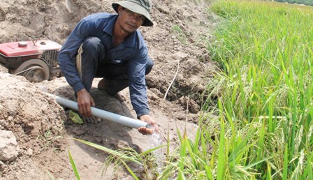 ĐBSCL tích cực lấy nước ngọt cứu lúa - Hình 1