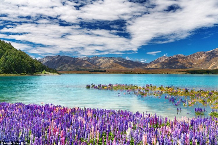 Ngắm phong cảnh tuyệt đẹp ở quốc đảo New Zealand - Du lịch - Việt Giải Trí
