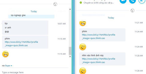 Đã có cách diệt virus lây qua Skype tại Việt Nam - Hình 1