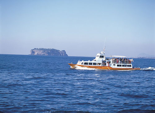 Ngắm vẻ đẹp ngoạn mục ở đảo Jeju, Hàn Quốc - Hình 5