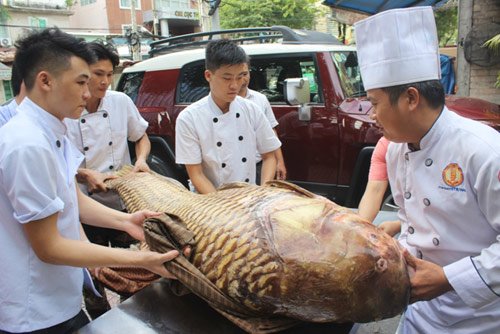 Cá hô nặng gần 130kg bơi từ Biển Hồ về Sài Gòn - Hình 2