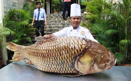 Cá hô nặng gần 130kg bơi từ Biển Hồ về Sài Gòn - Hình 1