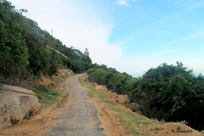 Nắng gió ở Mũi Dinh - Ninh Thuận - Hình 13