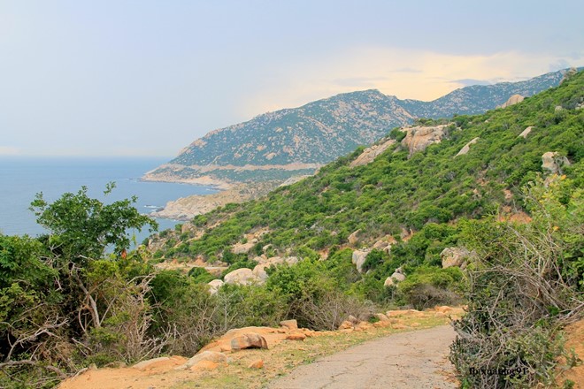 Nắng gió ở Mũi Dinh - Ninh Thuận - Hình 12