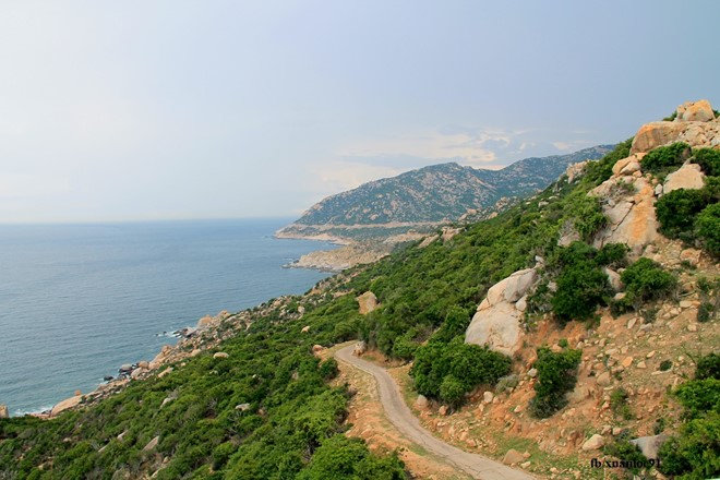 Nắng gió ở Mũi Dinh - Ninh Thuận - Hình 14