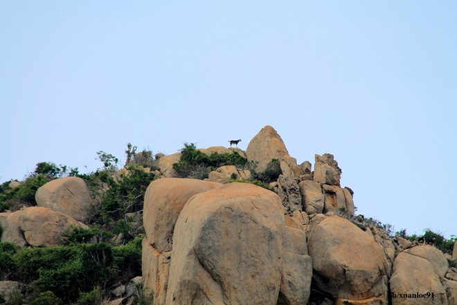 Nắng gió ở Mũi Dinh - Ninh Thuận - Hình 7